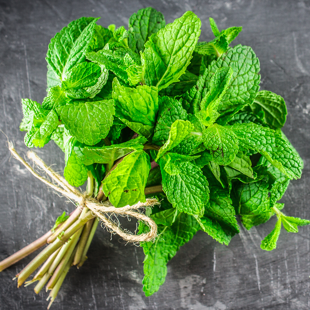 peppermint for making herbal teas in Jamaica
