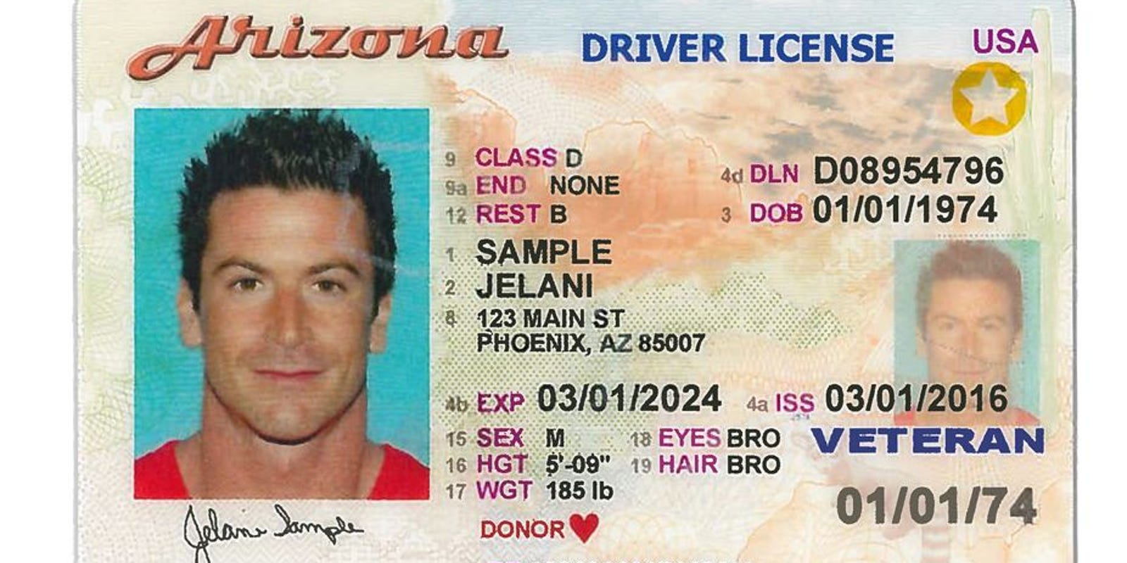 usa drivers license